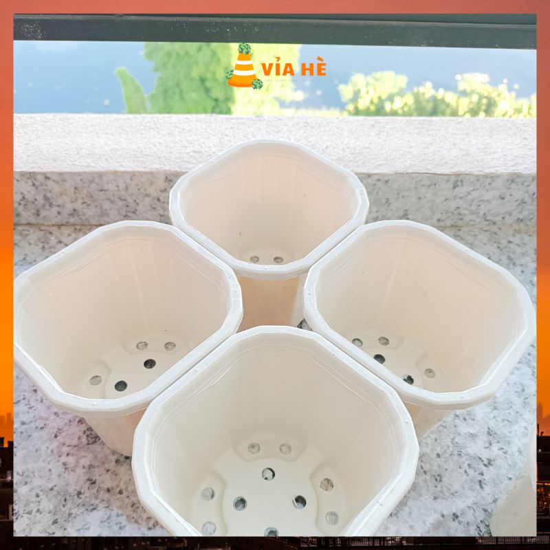 Chậu nhựa vuông cứng màu trắng size 15x13 nhỏ trồng cây xương rồng sen đá để bàn cây dâu tây