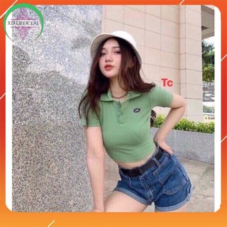 Áo croptop ôm có cổ ,áo kiểu nữ ,áo phông nữ, áo tay ngắn dáng ôm body trơn màu
