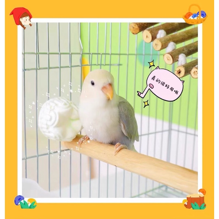 Đá mài răng cho hamster/sóc/chim vẹt. Đá khoáng mài răng cho vật nuôi