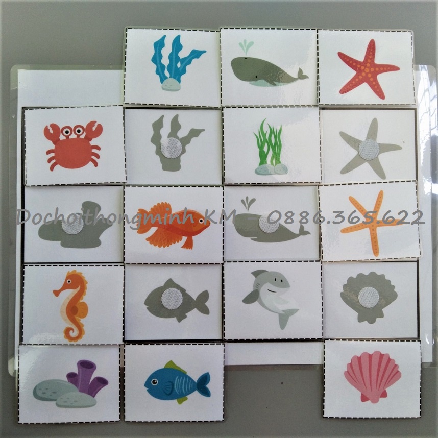 HỌC LIỆU - MATCHING Tìm cặp Ghép bóng sinh vật biển - Tương tác bóc dán cho bé