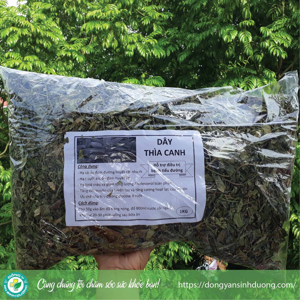 [1kg] Dây thìa canh - Hỗ trợ điều trị bệnh tiểu đường | BigBuy360 - bigbuy360.vn