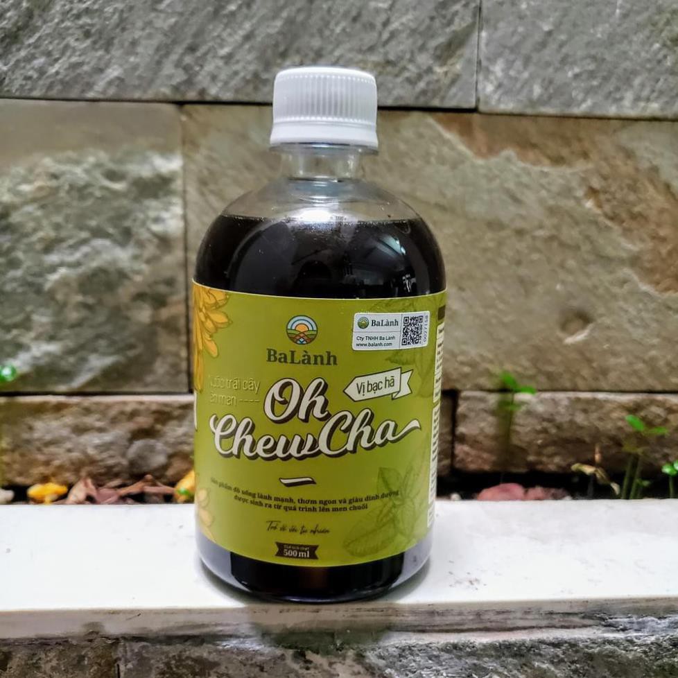 Nước trái cây lên men vị bạc hà (chai 500ml)