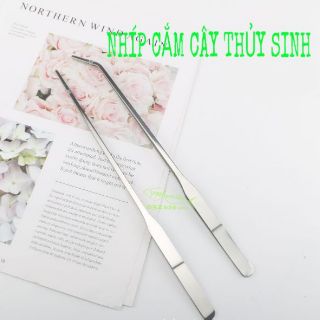 Nhíp cắm cây thủy sinh inox 28cm-48cm