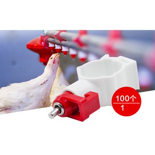 10 núm (van) uống tự động cho gà (Bộ rời V2, Gắn vào ống nước phi 27)