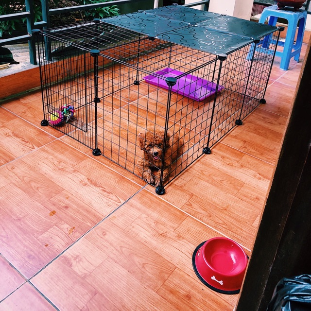 Sỉ SLL- Lồng chuồng thú cưng. Mẫu bán chạy nhất.