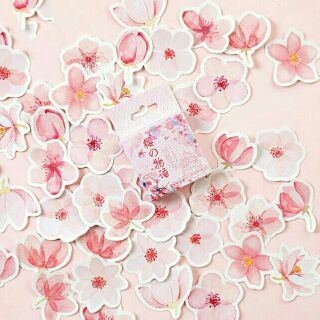 Hộp 45 sticker hoa anh đào Sakura 🌸