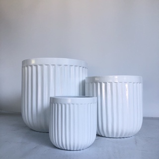 Chậu khía xi măng bo đáy