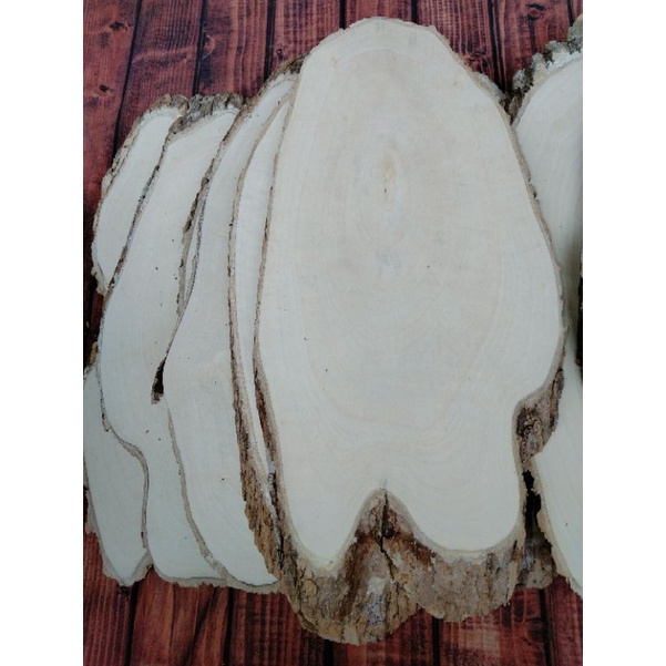 Lát gỗ Decor trang trí dài 44-48cm.