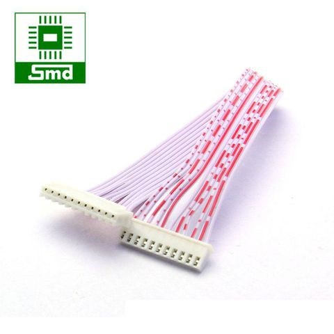 Dây bus trắng XH2.54 dài 20cm  2P - 12P hai đầu cái cắm nối mạch điện