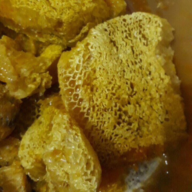 Mật ong rừng Điện Biên
