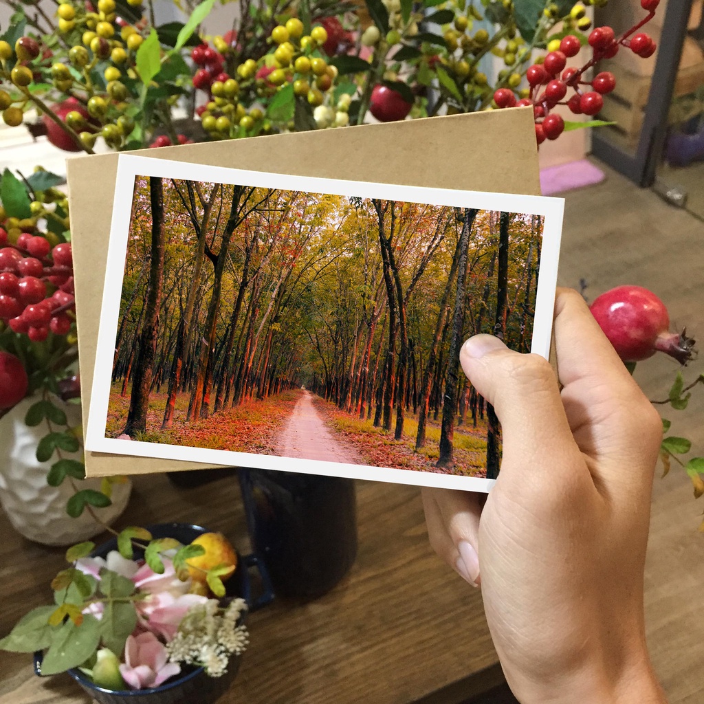 Postcard, Thiệp trang trí, quà tặng lựu niệm chủ đề  Việt Nam - P4, Tặng kèm bì thư giấy Kraft
