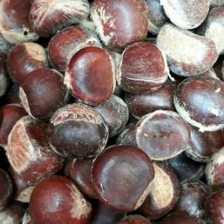 Hạt dẻ 1kg rang sẵn