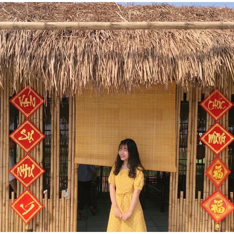 Váy hoa nhí hachie vintage dáng dài