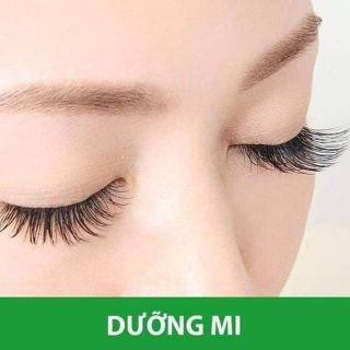 (Xả Kho) Dầu dừa chuốt Dài Mi