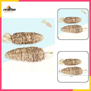 Đồ chơi gặm nhắm an toàn cho thú cưng