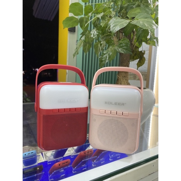 Loa KOLEER