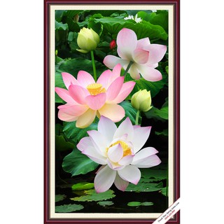 Tranh đính đá 5D , Tranh Hoa sen đính full đá