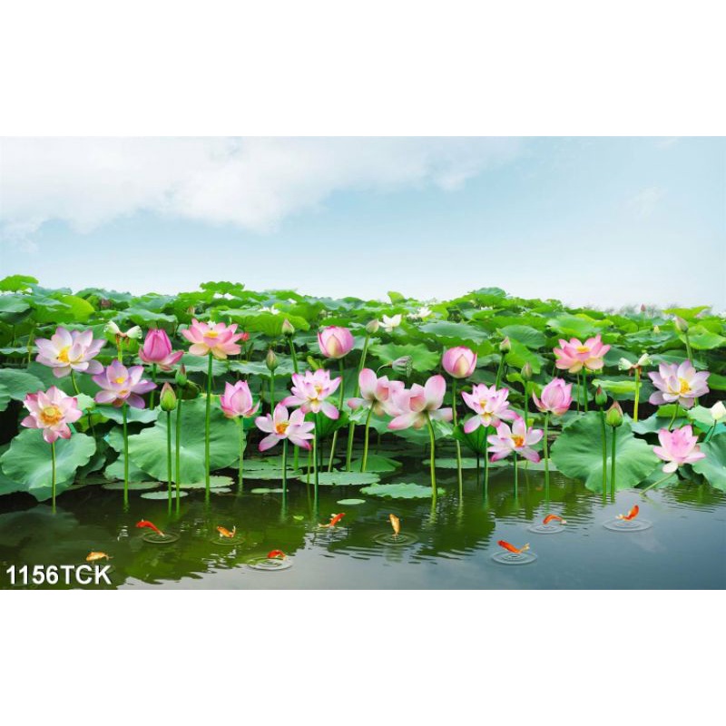 TRANH DÁN TƯỜNG HOA SEN 1156TCK - TRANH PHONG CẢNH HỒ SEN - TRANH DÁN BÀN THỜ