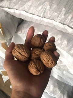 Óc chó Nhập khẩu Mỹ