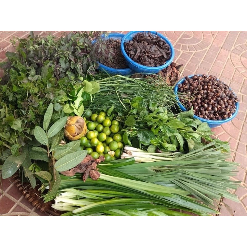 Dầu gội cô đặc thảo dược 300ml | BigBuy360 - bigbuy360.vn