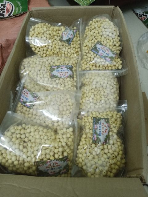 Sen tươi Huế chính gốc 1kg như hình (theo mùa) | BigBuy360 - bigbuy360.vn