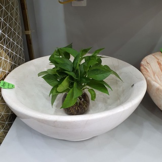 Chậu lavabo sứ đặt bàn,chậu rửa mặt sứ nhà tắm, chậu rửa mặt sứ đặt bàn nhà vệ sinh JVl1020