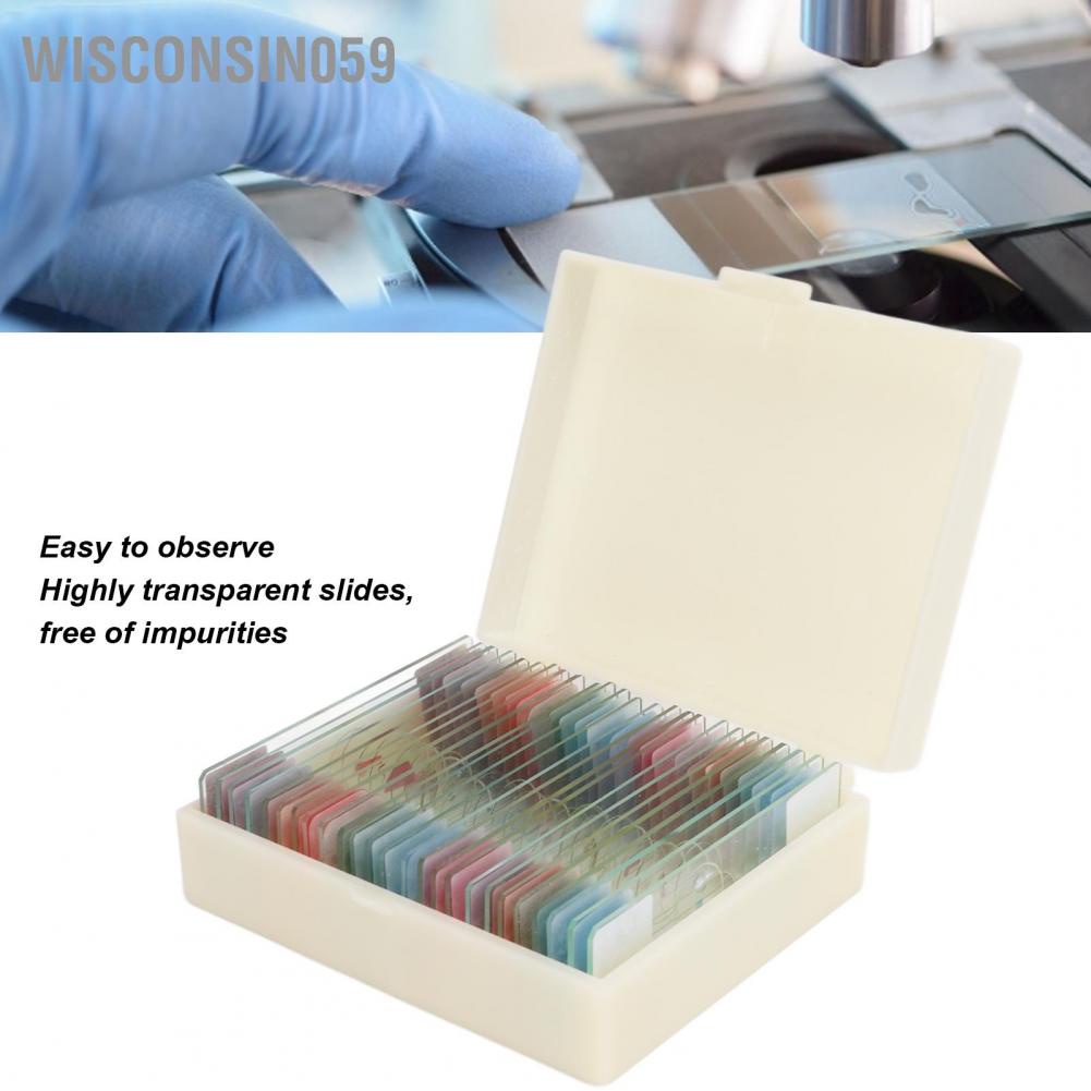 Wisconsin059 25 cái Kính trượt chuẩn bị sẵn Côn trùng Mẫu vật Thực Động cho Giáo dục Sinh học