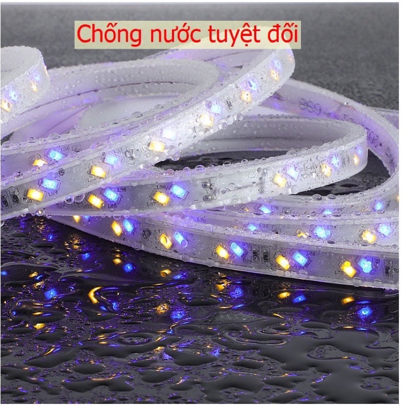 Dây đèn led đổi 3 màu 5730 vàng _xanh dương và pha vàng xanh dương