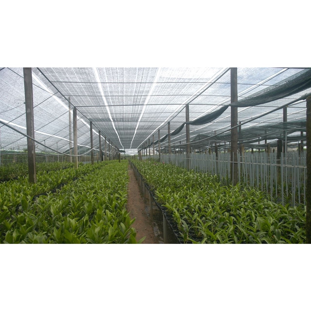 Lưới che nắng, che lan thái lan khổ rộng 2m, che rau, làm vườn, độ bền lâu năm, bán theo mét tới