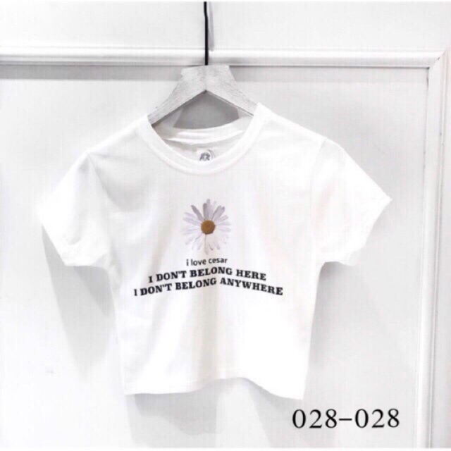 Áo Croptop thêu bông cúc siêu xinh - CÓ VIDEO ẢNH THẬT | BigBuy360 - bigbuy360.vn