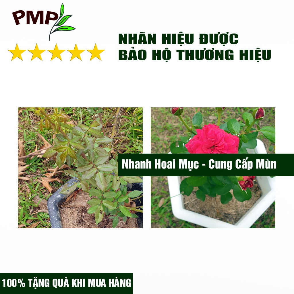 Combo Phân Hữu Cơ Super Probio Vi Sinh &amp; Giá Thể Bã Mía SUMI PMP Dùng Cho Hoa Hồng, Rau Sạch, Cây Cảnh