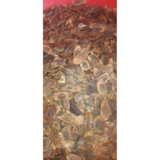 100 gram quả sưa trắng