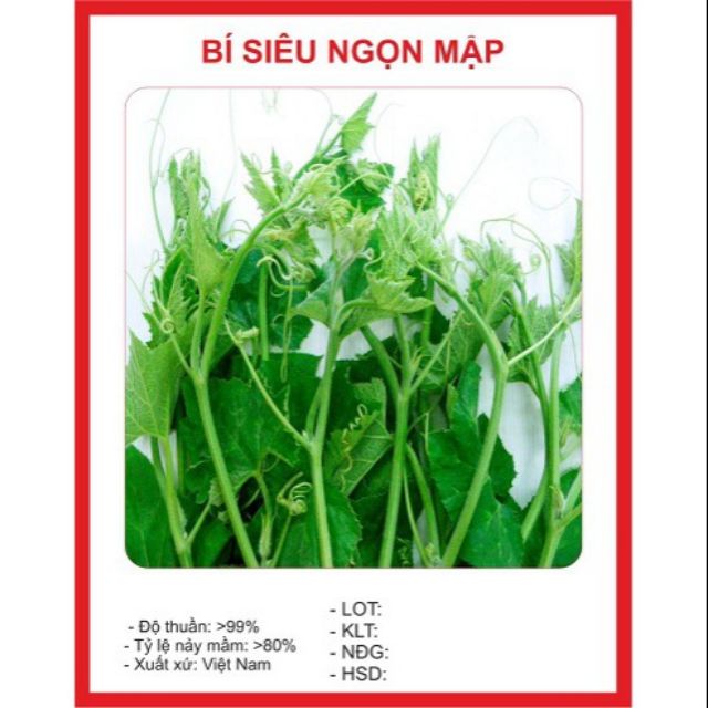 Hạt giống Bí Siêu Ngọn 10gram