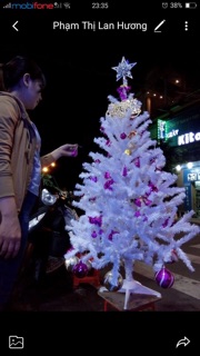 Cây thông noel trắng size 90cm-2m4