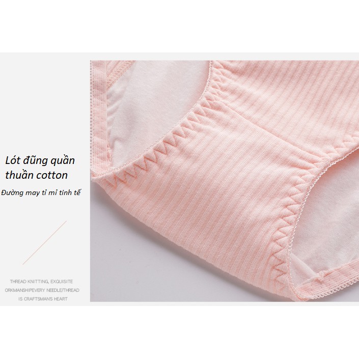 Quần Lót Chống Tràn Nguyệt San Cotton Tăm P152