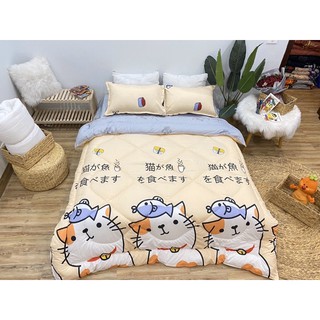 set chăn phao poly nhập mới nhất