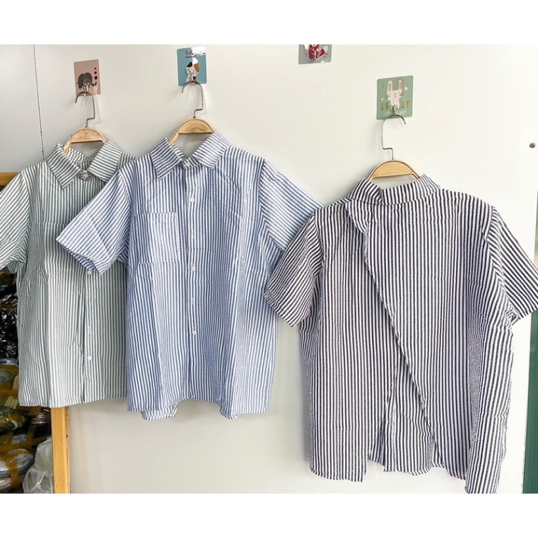 Áo Sơmi kẻ chất xốp XẺ LƯNG cộc tay Jamoo