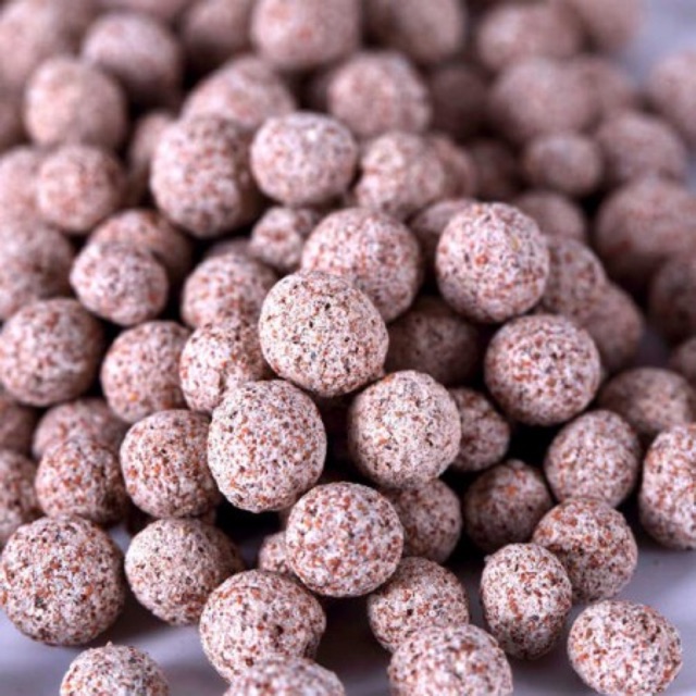 SỨ BI ĐÀI LOAN