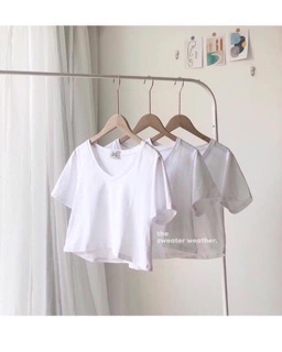 ÁO CRTOP CỔ TIM ( siêu hót)