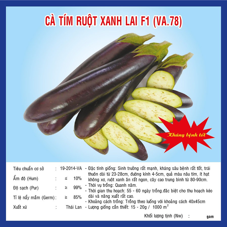Hạt giống Cà Tím Lai F1 (VA.78)