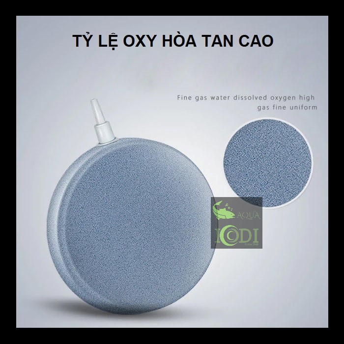 Đĩa sủi oxy cho bể cá cảnh - bể thủy sinh