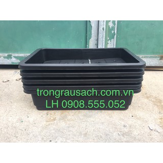 5 Khay Nhựa Trồng Rau 65x42x16cm (05SP) nhựa Loại 1
