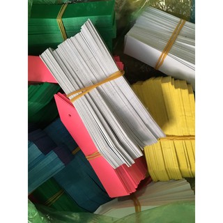 Tem thẻ ghi tên hoa lan 50 cái