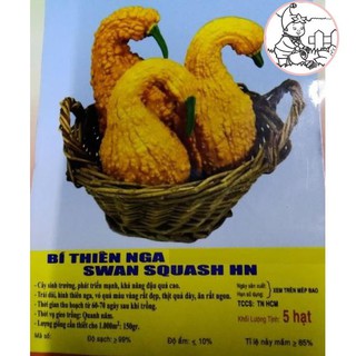 HẠT BÍ THIÊN NGA - GÓI 5 HẠT