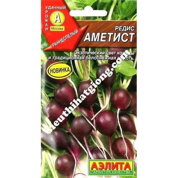 Hạt Giống Củ Cải Tím (2g)