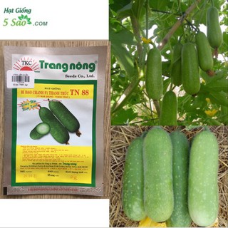 Hạt Giống Bí Đao Chanh F1 Thanh Trúc TN 88 - 2 g ( Trang Nông )