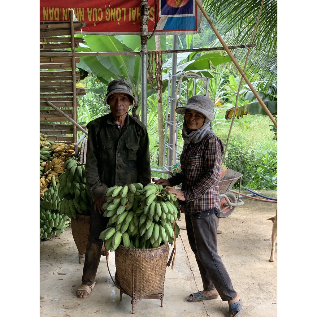 Mật Chuối Tabai An Hòa Farm loại 1 năm nguyên chất 100% đặc sản Khánh Hòa HSD 24 tháng
