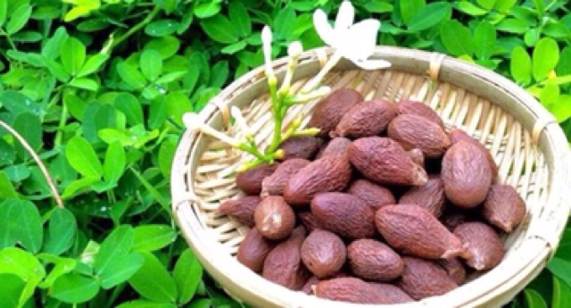 500gr hạt Đười Ươi sẻ bay | BigBuy360 - bigbuy360.vn