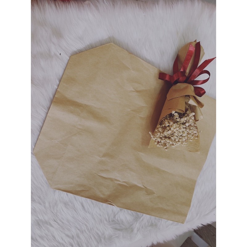 100 TG nâu size 30 x 40 cm đựng vừa quần áo, gói rau củ