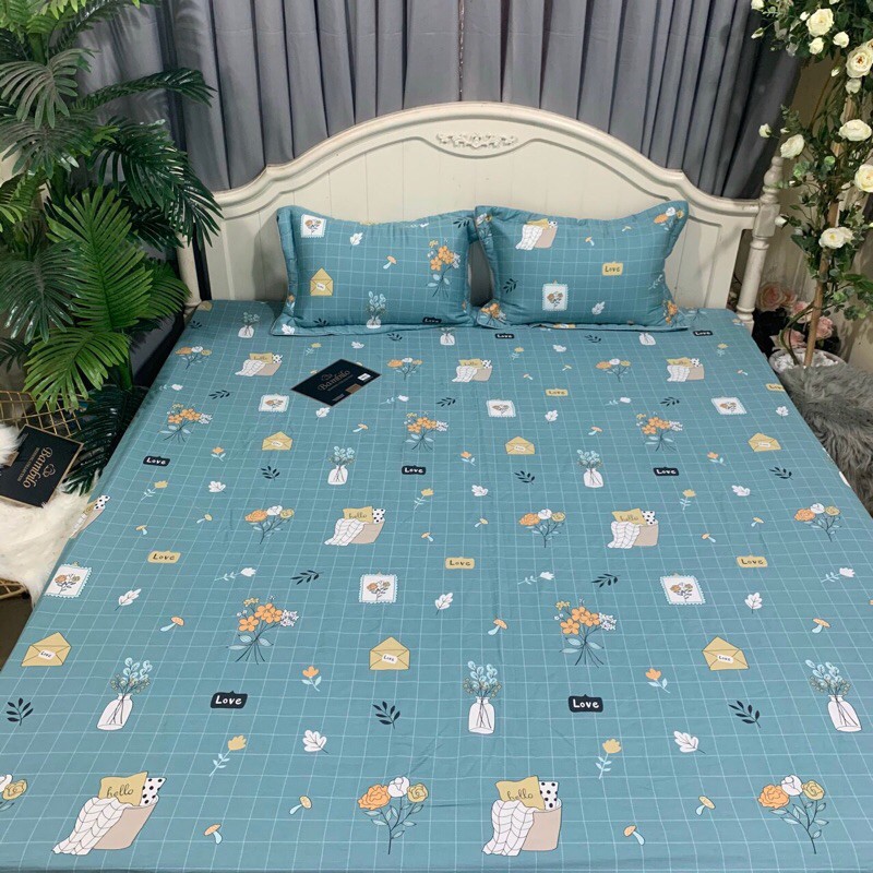 Combo 2 bộ ga chun trần 1m6x2m và 1 bộ 2mx2m2